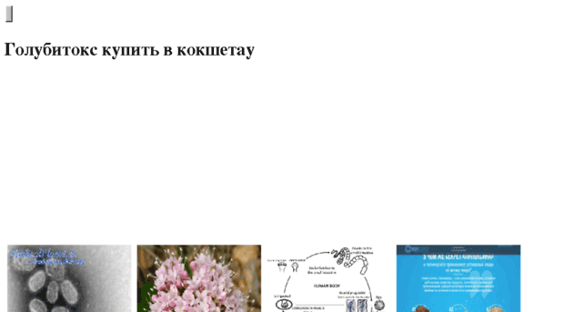 files-turbo.ru