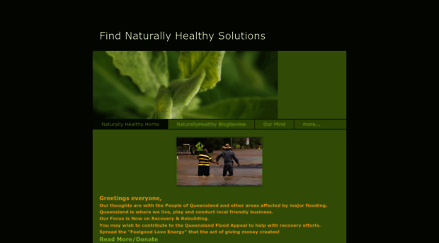 findnaturallyhealthysolutions.weebly.com