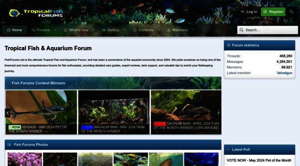 fishforums.net
