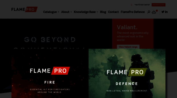 flame-pro.com