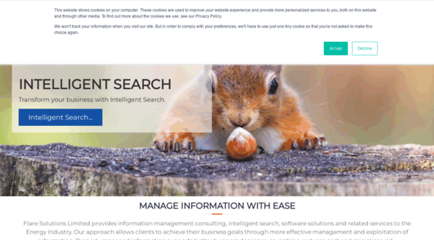 flare-consultants.com