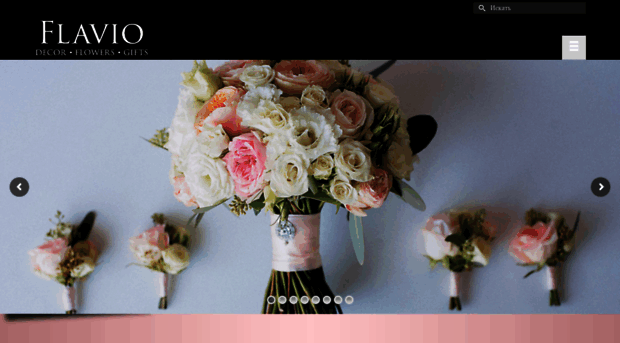 flavio.com.ua