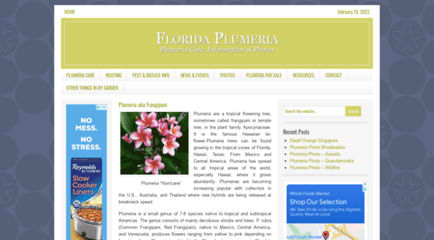 floridaplumeria.com