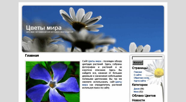flowersmir.ru