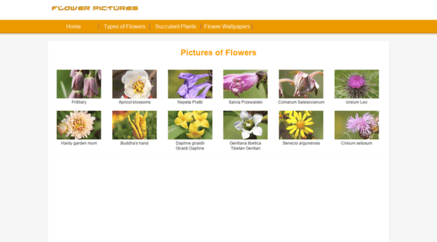 flowerspictures.org