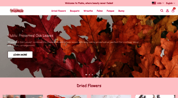 flublu.com