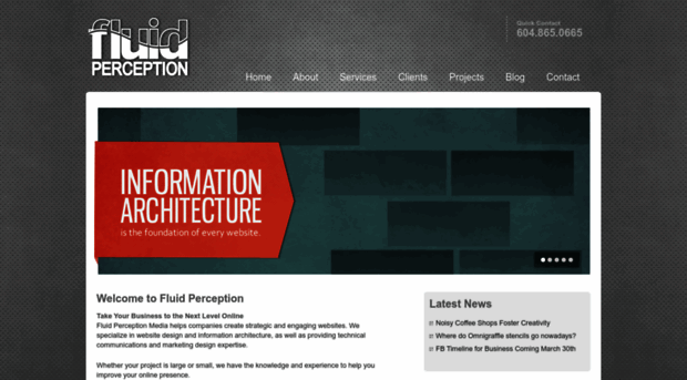 fluidperception.com