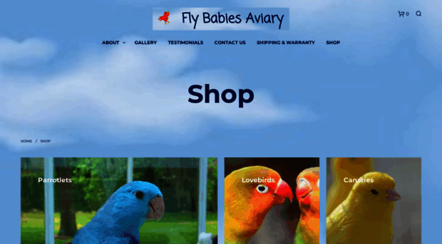 flybabies123.com