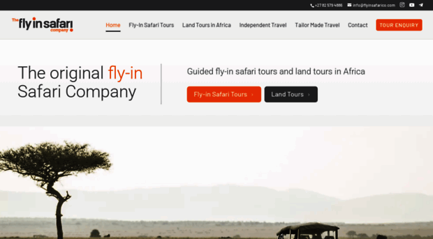 flyinsafarico.com