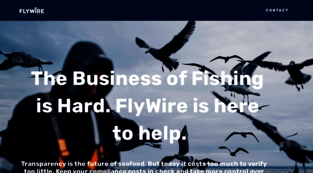 flywire.squarespace.com