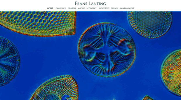 franslanting.photoshelter.com