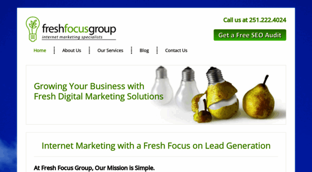 freshfocusgroup.com