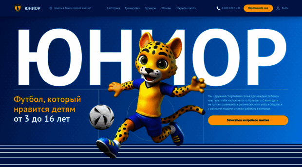 fsjunior.com