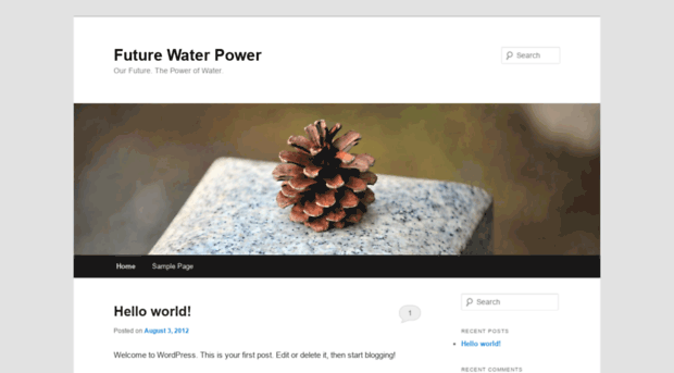 futurewaterpower.com