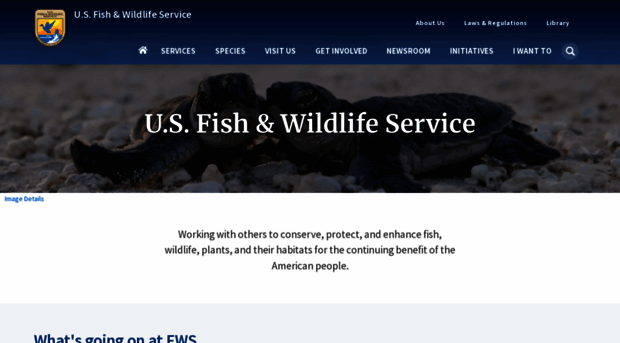 fws.gov
