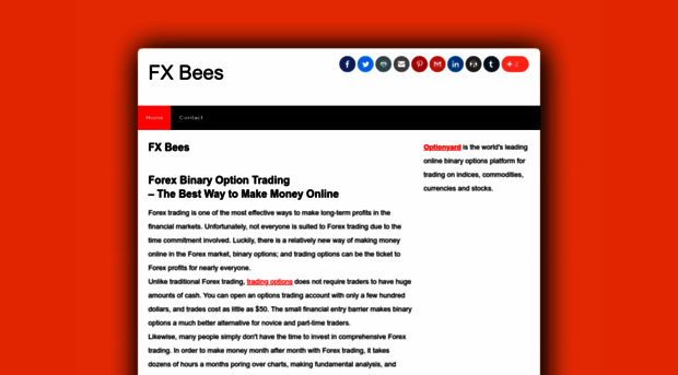 fxbees.com