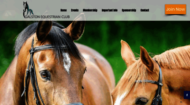 galstonequestrianclub.org.au