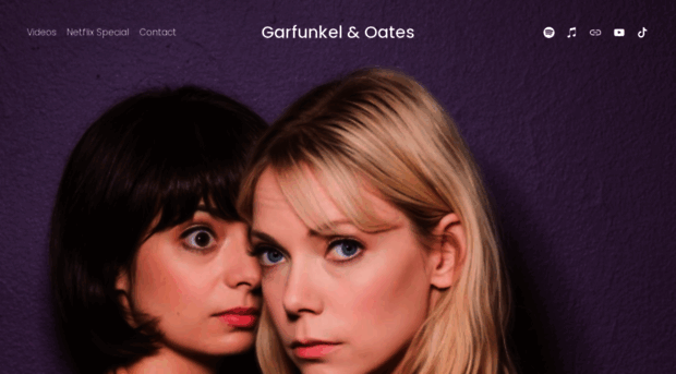 garfunkelandoates.com