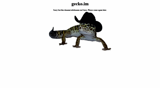 gecko.im