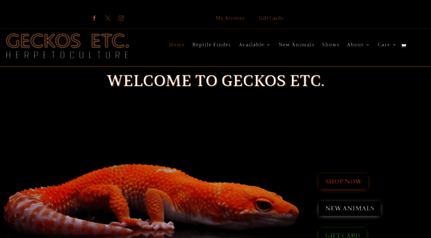 geckosetc.com