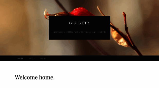 gingetz.com