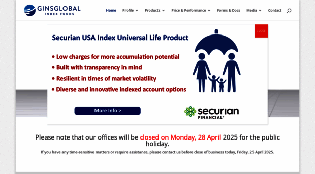 ginsglobal.com