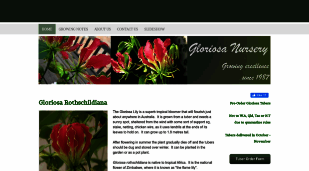 gloriosanursery.com.au