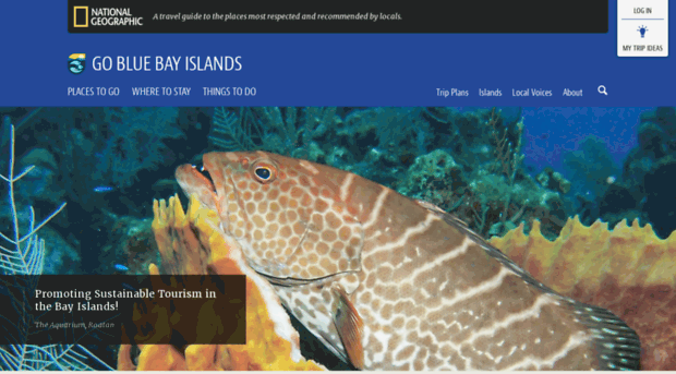 gobluecentralamerica.org