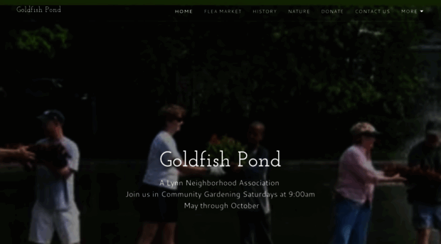 goldfishpond.org