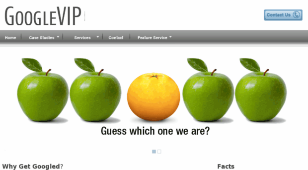 googlevip.ca