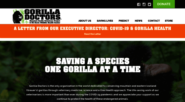 gorilladoctors.wpengine.com