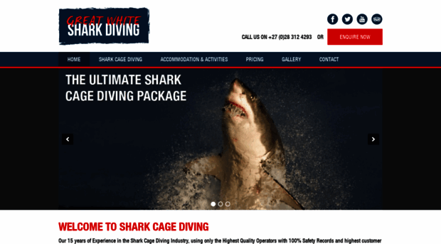 greatwhitesharkdiving.co.za