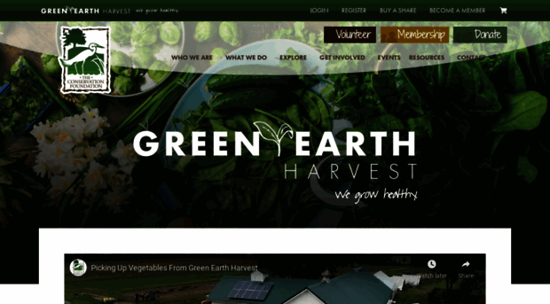 greenearthinstitute.com
