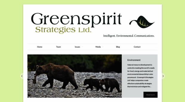 greenspiritstrategies.com
