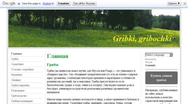 gribki-site.com