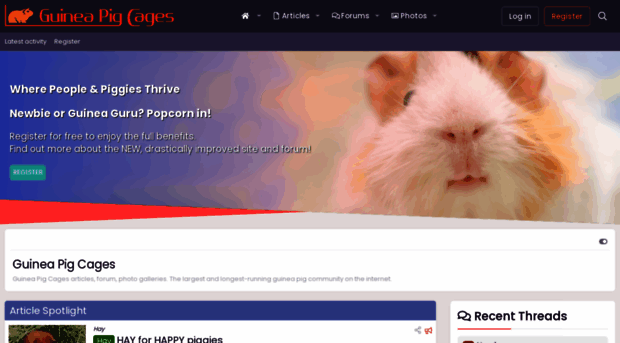 guineapigcages.com