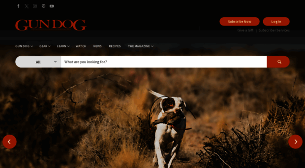 gundogmag.com