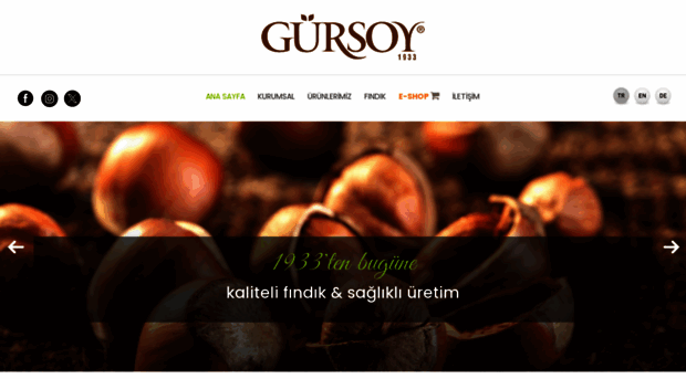 gursoy.com.tr