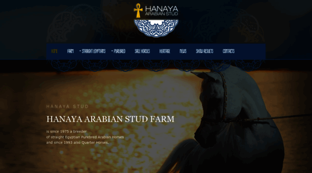 hanayastud.com