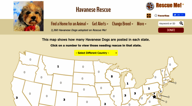 havanese.rescueme.org