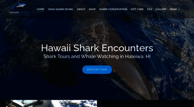 hawaiisharkencounters.com
