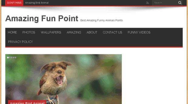 hdfunpoint.com