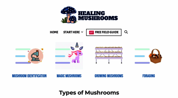 healing-mushrooms.net