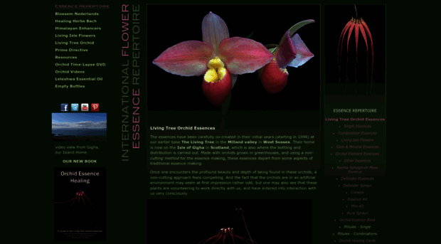 healingorchids.com