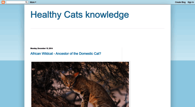 healthy-cats.blogspot.co.uk
