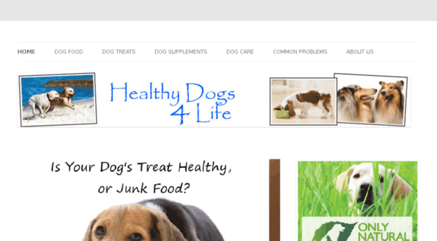 healthyfood4dogs.info