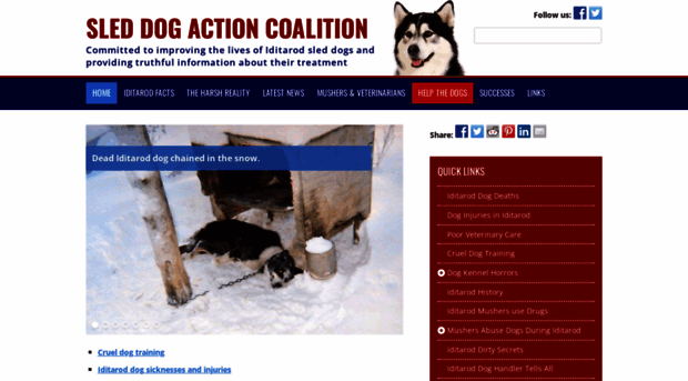 helpsleddogs.org