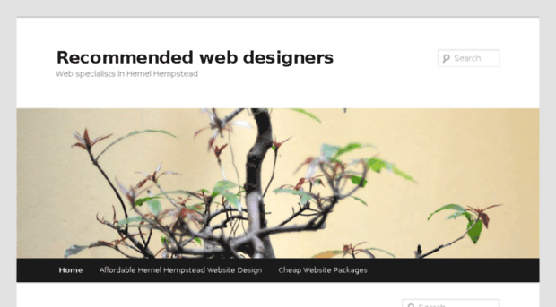 hemelhempsteadwebdesigner.co.uk