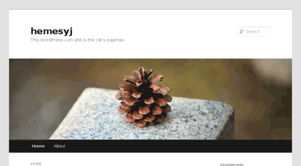 hemesyj.wordpress.com