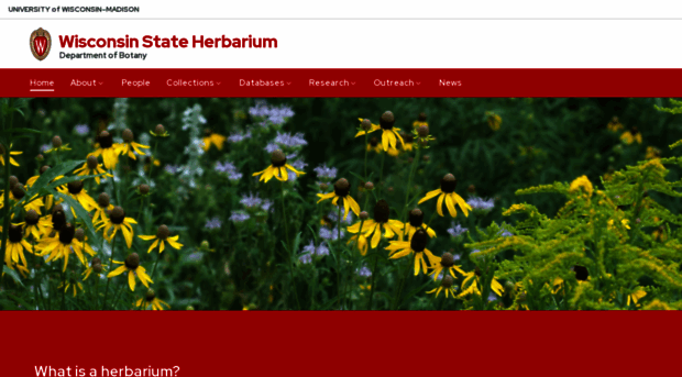 herbarium.wisc.edu